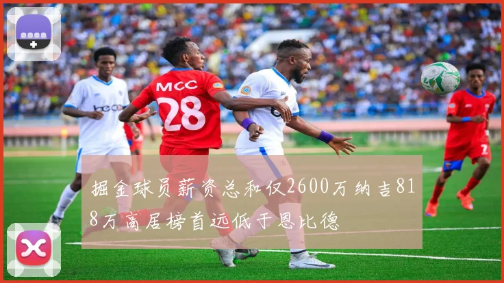 掘金球员薪资总和仅2600万纳吉818万高居榜首远低于恩比德